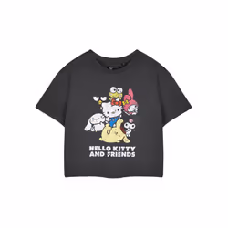 Hello Kitty Cropped Short Sleeved T-Shirt (Womens Grey) - Medium