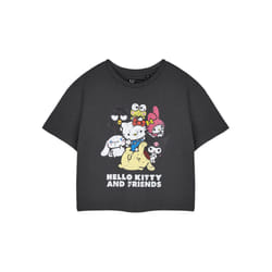 Hello Kitty Cropped Short Sleeved T-Shirt (Womens Grey) - X-Large