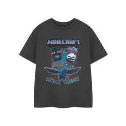 Minecraft Short Sleeved T-Shirt (Boys Black) - 13-14 Years