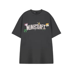 Minecraft Short Sleeved T-Shirt (Womens Grey) - X-Large
