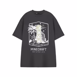 Minecraft Short Sleeved T-Shirt (Mens Grey) - X-Large