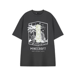 Minecraft Short Sleeved T-Shirt (Mens Grey) - X-Large