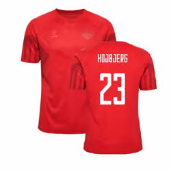 2022-2023 Denmark Home Jersey (Hojbjerg 23) - L