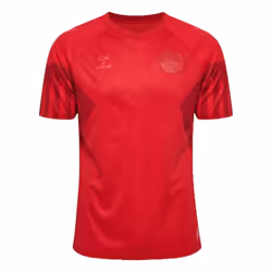 2022-2023 Denmark Home Jersey (Hojbjerg 23) - L