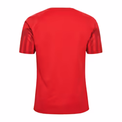 2022-2023 Denmark Home Jersey (Hojbjerg 23) - L