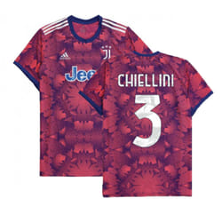 2022-2023 Juventus Third Shirt (CHIELLINI 3) - XL