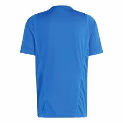 2022-2023 Sweden Training Jersey (Glory Blue) (IBRAHIMOVIC 10) - XL