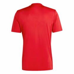 2023-2024 Roma Icon Pre-Match Shirt (Red) (ABRAHAM 9) - XL