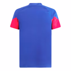 2023-2024 AC Milan Training Jersey (Royal Sapphire) (Van Basten 9) - XL