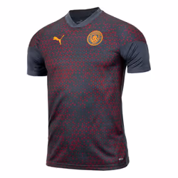 2023-2024 Man City Training Jersey (Strong Grey) (FODEN 47) - XXL
