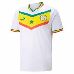 2022-2023 Senegal Home Shirt (DIOUF 11) - M