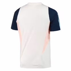 2023-2024 Ajax Training Jersey (White) (VAN BASTEN 9) - 3XL