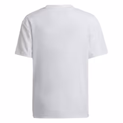 2022-2023 Olympique Lyon Home Shirt (Kids) (BENZEMA 10) - XLB