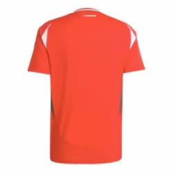 2024-2025 Hungary Home Shirt (SZOBOSZLAI 10) - M