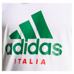 2024-2025 Italy DNA Graphic Tee (White) (R.BAGGIO 10) - L