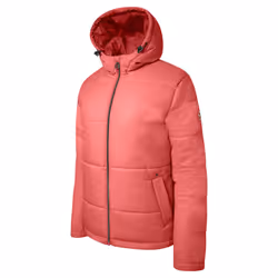 Dare 2B Womens/Ladies Luxuriate Waterproof Padded Jacket - 10 UK, Earth Rose