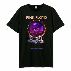 Amplified Unisex Adult Sound Of Thunder Pink Floyd T-Shirt