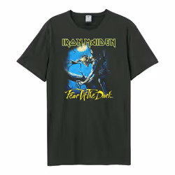 Amplified Unisex Adult Fear Of The Dark T-Shirt - 3XL, Charcoal
