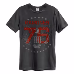Amplified Unisex Adult 1976 Ramones T-Shirt - 3XL, Charcoal