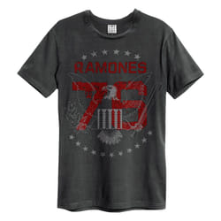 Amplified Unisex Adult 1976 Ramones T-Shirt - 3XL, Charcoal