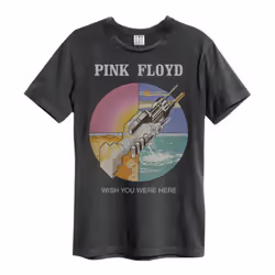 Amplified Unisex Adult Wish You Were Here Pink Floyd T-Shirt - XS, Charcoal