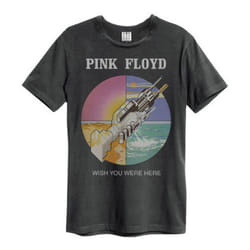 Amplified Unisex Adult Wish You Were Here Pink Floyd T-Shirt - XS, Charcoal