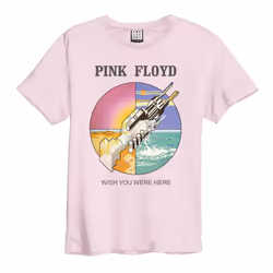 Amplified Unisex Adult Wish You Were Here Pink Floyd T-Shirt - XXL, Pink