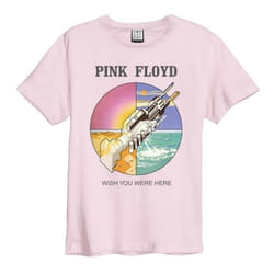 Amplified Unisex Adult Wish You Were Here Pink Floyd T-Shirt - XXL, Pink