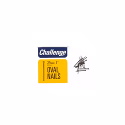 Challenge Oval Bright Steel Wire Nails - 50mm, Silver