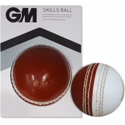 Gunn And Moore Childrens/Kids Skills Cricket Ball