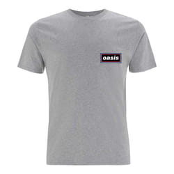 Oasis Unisex Adult Lines T-Shirt - L, Grey