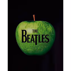 The Beatles Unisex Adult Apple Logo T-Shirt - S, Black