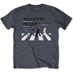 The Beatles Unisex Adult Abbey Road Japanese T-Shirt - M, Heather Grey