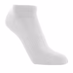 Trespass Unisex Adult Orbital Liner Socks (Pack of 5) - 4 UK-7 UK, White
