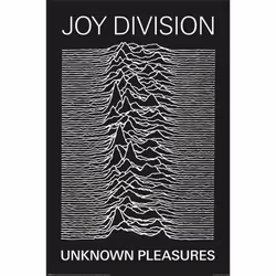 Joy Division Unknown Pleasures Poster