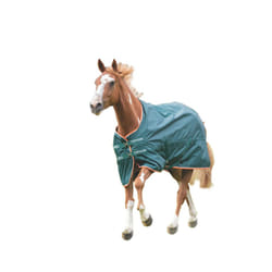 Tempest Typhoon Lite Horse Turnout Rug - 5', Green