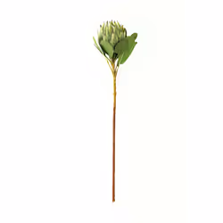 Hill Interiors Protea Protea Artificial Flower - One Size, Green