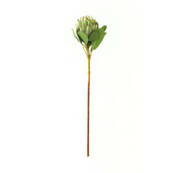 Hill Interiors Protea Protea Artificial Flower - One Size, Green