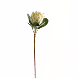 Hill Interiors Protea Protea Artificial Flower
