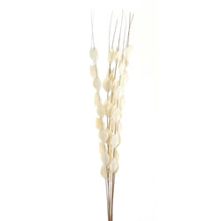 Hill Interiors Bouquet Of Dried Thlaspi Arvense Artificial Flower