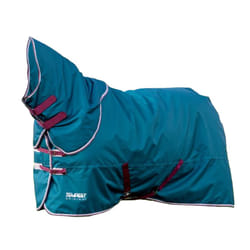 Tempest Original 200 Horse Turnout Rug & Neck Cover Set