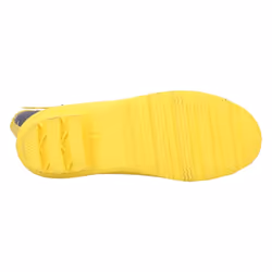 Cotswold Womens/Ladies Farmyard Chicken Mid Calf Wellington Boots - 7 UK, Navy/Yellow