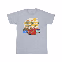 Disney Mens Cars Radiator Springs Group T-Shirt - S, Sports Grey