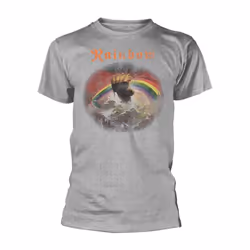 Rainbow Unisex Adult Rising Distressed Regular T-Shirt - 2XL, Sports Grey