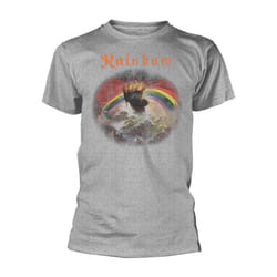 Rainbow Unisex Adult Rising Distressed Regular T-Shirt - 2XL, Sports Grey
