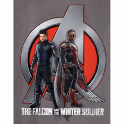 Marvel Comics Unisex Adult Falcon & Winter Soldier Logo T-Shirt - M, Charcoal Grey