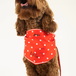 Joules Hello Polka Dot Dog Scarf