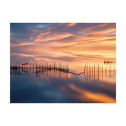 Pyramid International Fish Nets Print - 40cm x 50cm, Blue/Orange