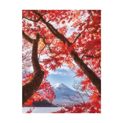 Pyramid International Mount Fuji Autumn Leaves Print