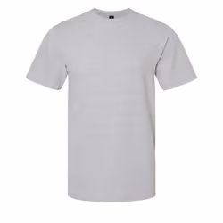 Gildan Unisex Adult Softstyle Midweight T-Shirt - S, Sports Grey